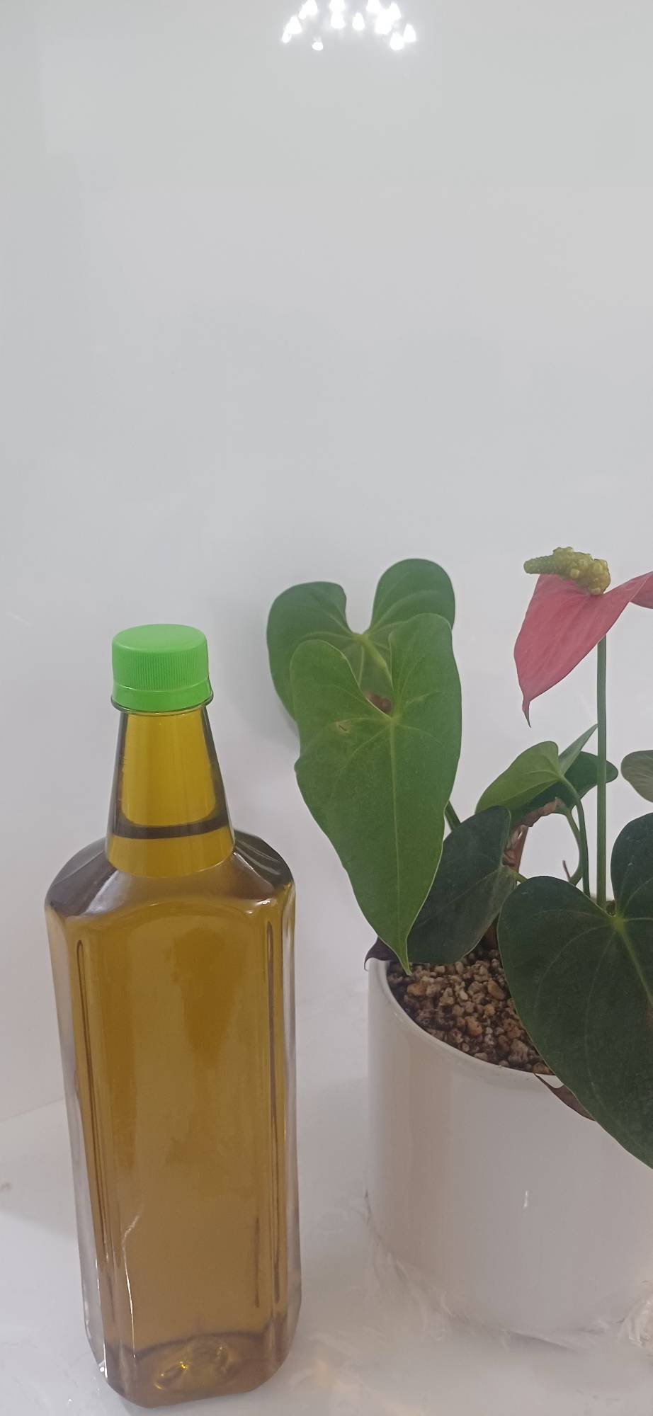 روغن زیتون خالص طارم